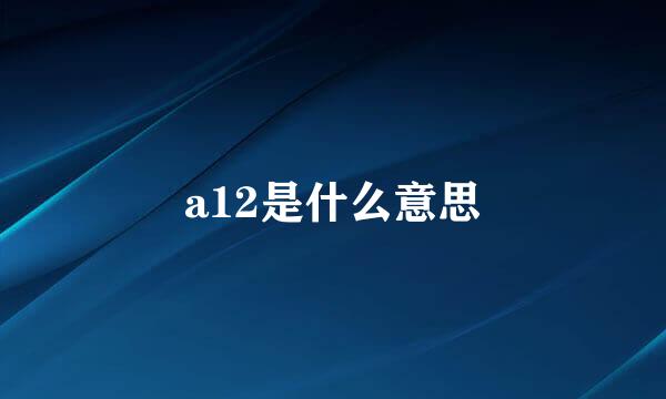 a12是什么意思