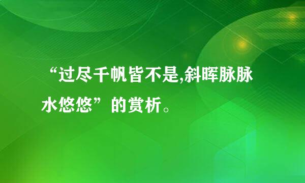 “过尽千帆皆不是,斜晖脉脉水悠悠”的赏析。