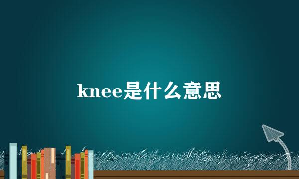 knee是什么意思