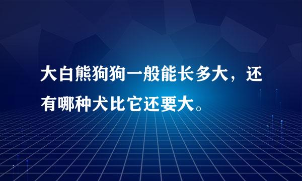 大白熊狗狗一般能长多大，还有哪种犬比它还要大。