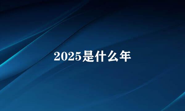 2025是什么年