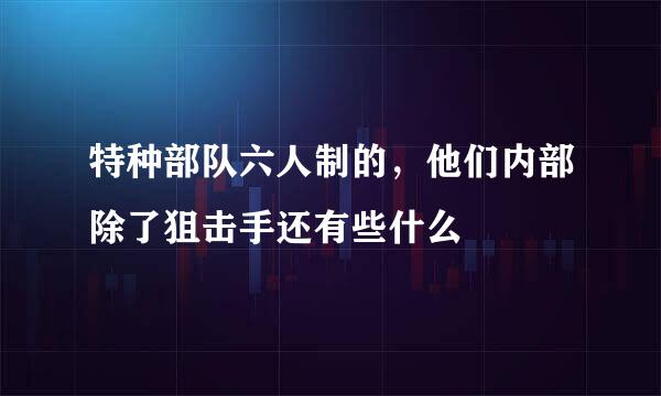 特种部队六人制的，他们内部除了狙击手还有些什么