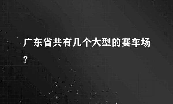 广东省共有几个大型的赛车场?