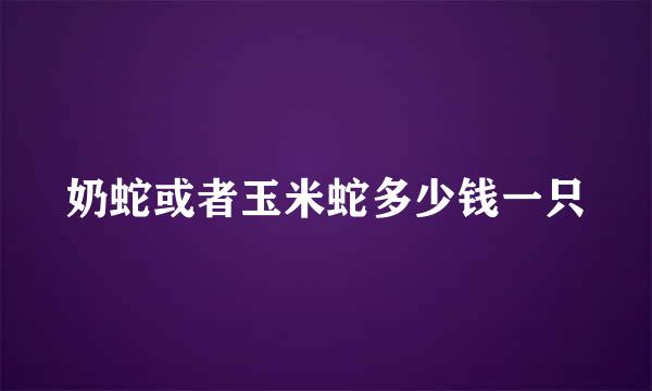 奶蛇或者玉米蛇多少钱一只