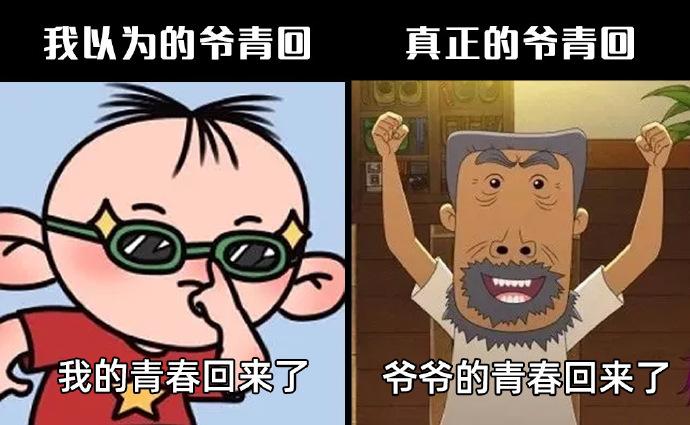 爷青回和爷青结是什么意思？