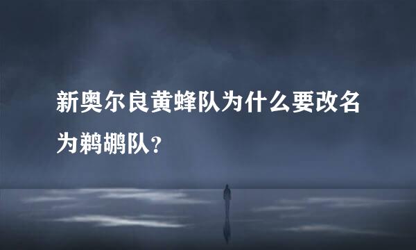 新奥尔良黄蜂队为什么要改名为鹈鹕队？