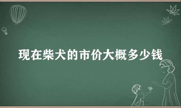 现在柴犬的市价大概多少钱