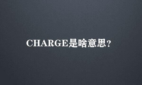 CHARGE是啥意思？