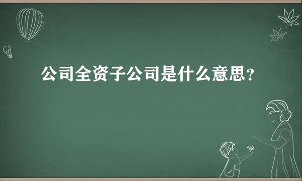 公司全资子公司是什么意思？