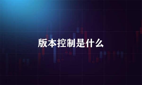 版本控制是什么