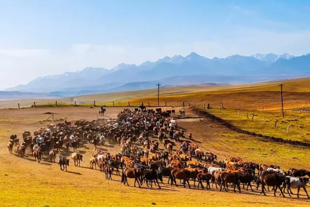 西北旅游几月份去风景最好?