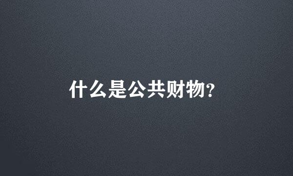 什么是公共财物？