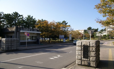 日本新泻大学