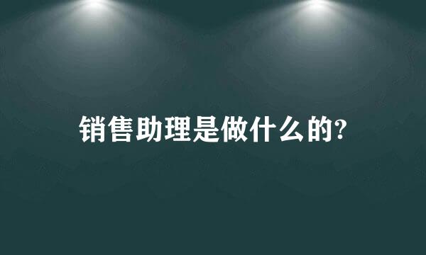 销售助理是做什么的?