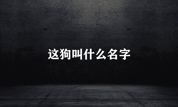 这狗叫什么名字