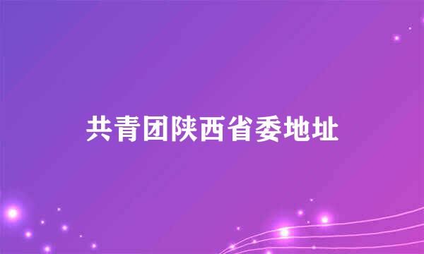 共青团陕西省委地址