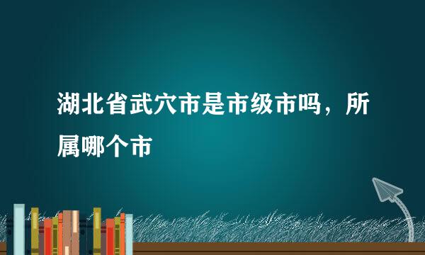 湖北省武穴市是市级市吗，所属哪个市