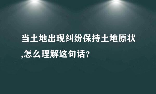 当土地出现纠纷保持土地原状,怎么理解这句话？