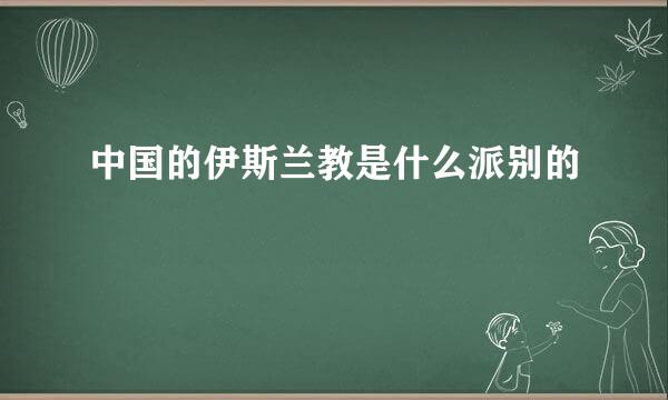 中国的伊斯兰教是什么派别的