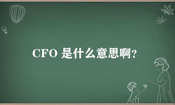 CFO 是什么意思啊？