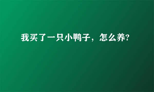 我买了一只小鸭子，怎么养?