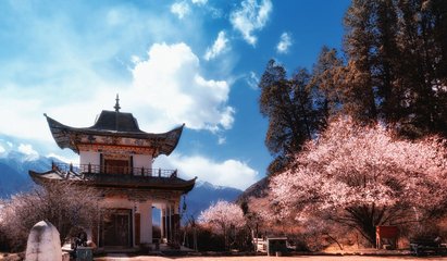 人间四月芳菲尽山寺桃花始盛开的原因是什么