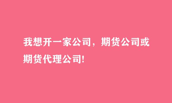 我想开一家公司，期货公司或期货代理公司!