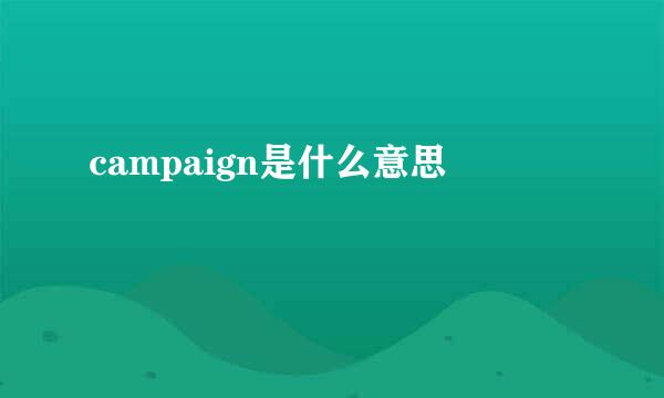 campaign是什么意思