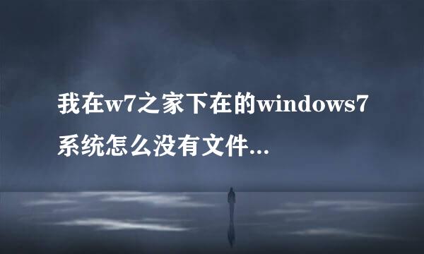 我在w7之家下在的windows7系统怎么没有文件加密功能啊？