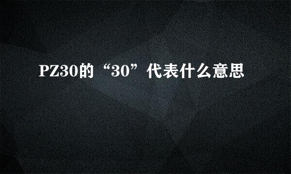 PZ30的“30”代表什么意思