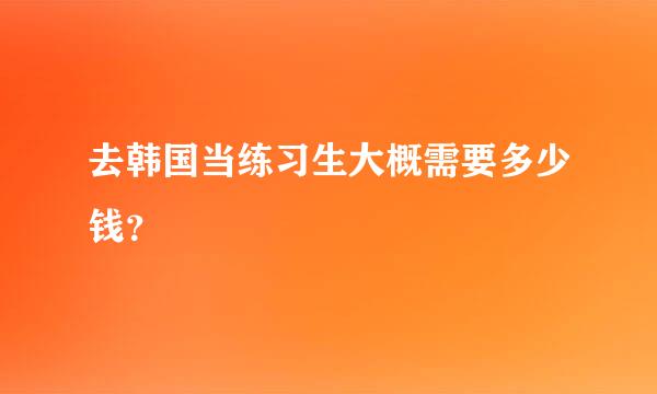 去韩国当练习生大概需要多少钱？