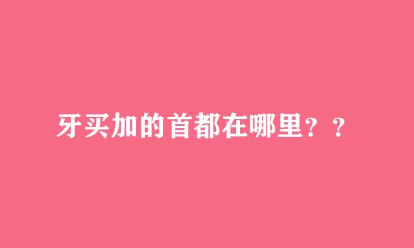 牙买加的首都在哪里？？