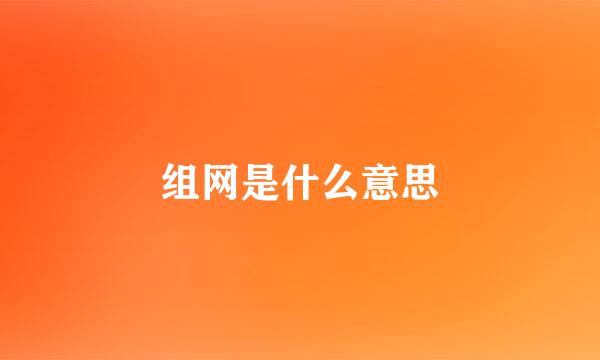 组网是什么意思