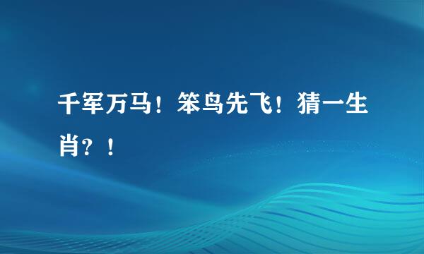 千军万马！笨鸟先飞！猜一生肖？！