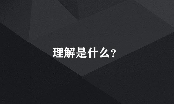 理解是什么？