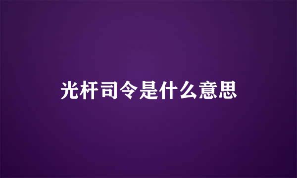 光杆司令是什么意思