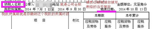 小规模纳税人，通用纳税申报表怎么填写？