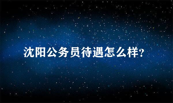 沈阳公务员待遇怎么样？