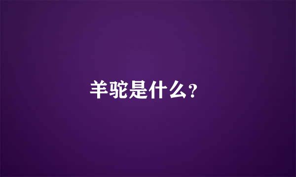 羊驼是什么？