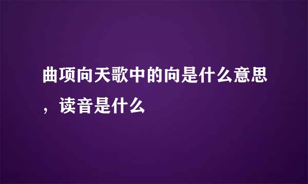 曲项向天歌中的向是什么意思，读音是什么