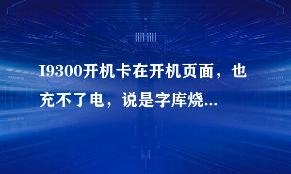 I9300开机卡在开机页面，也充不了电，说是字库烧了，更换字库要多少钱，怎样防止字库再烧？