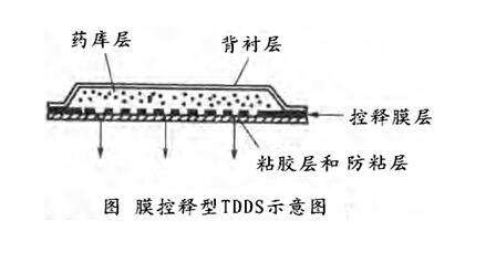 tts药学方面的意思是什么?