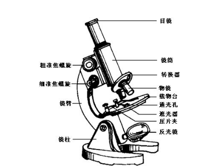 光字显微镜的结构名称