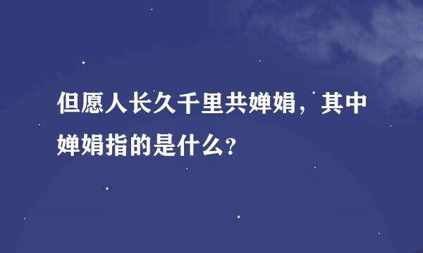 但愿人长久千里共婵娟，其中婵娟指的是什么？