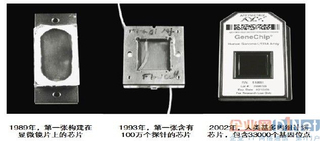 基因芯片技术的基本原理