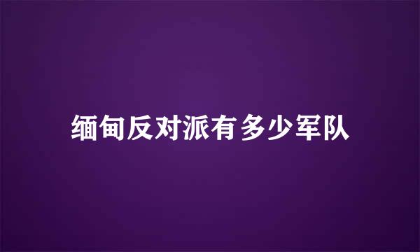 缅甸反对派有多少军队