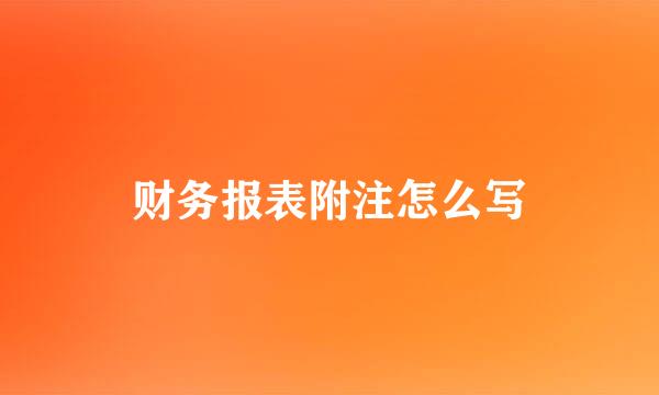 财务报表附注怎么写