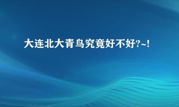 大连北大青鸟究竟好不好?~!