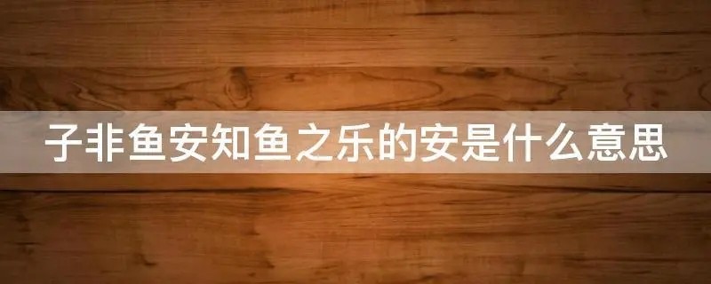 子非鱼,安知鱼之乐,子非我,安知我不知鱼之乐什么意思