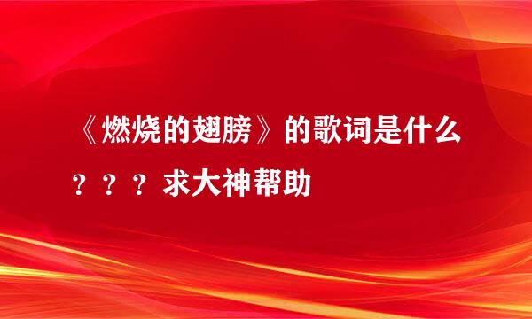 《燃烧的翅膀》的歌词是什么？？？求大神帮助